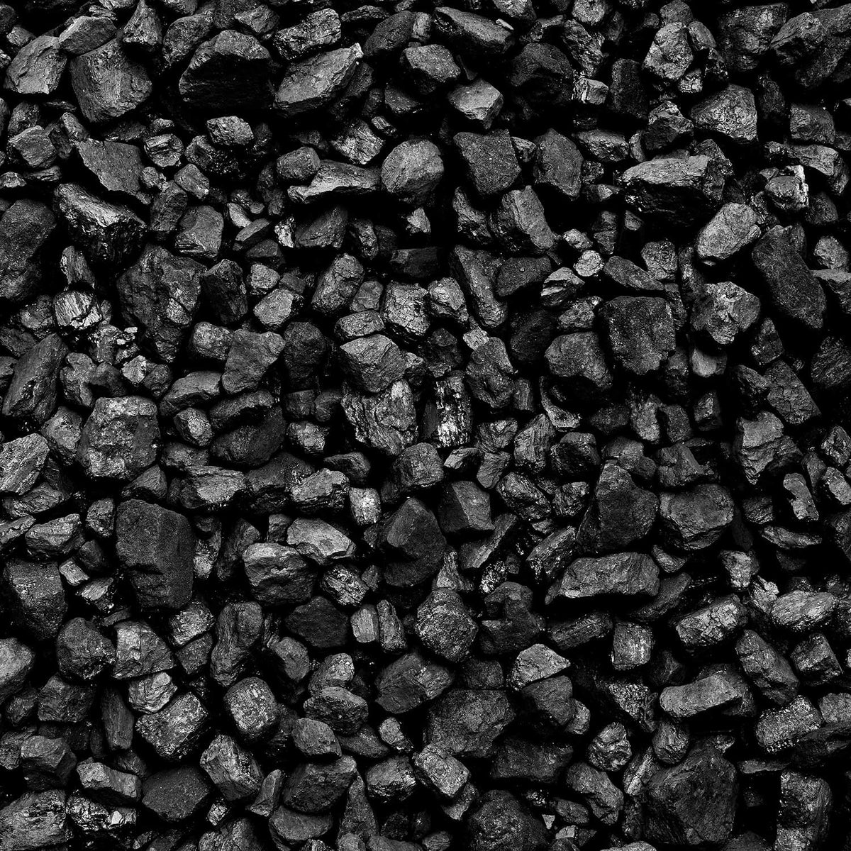 Steinkohle 5 – 25 mm 50 x 20 kg